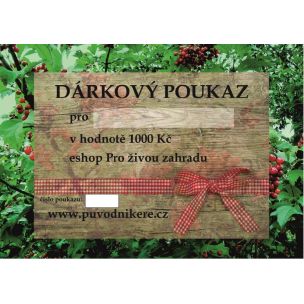 Dárkový poukaz 1000Kč elektronický